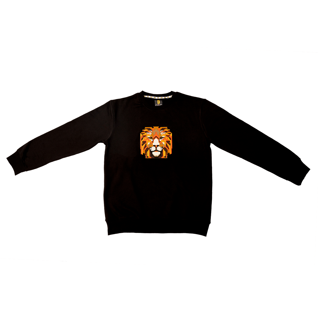 Boys Lion Sweatshirt