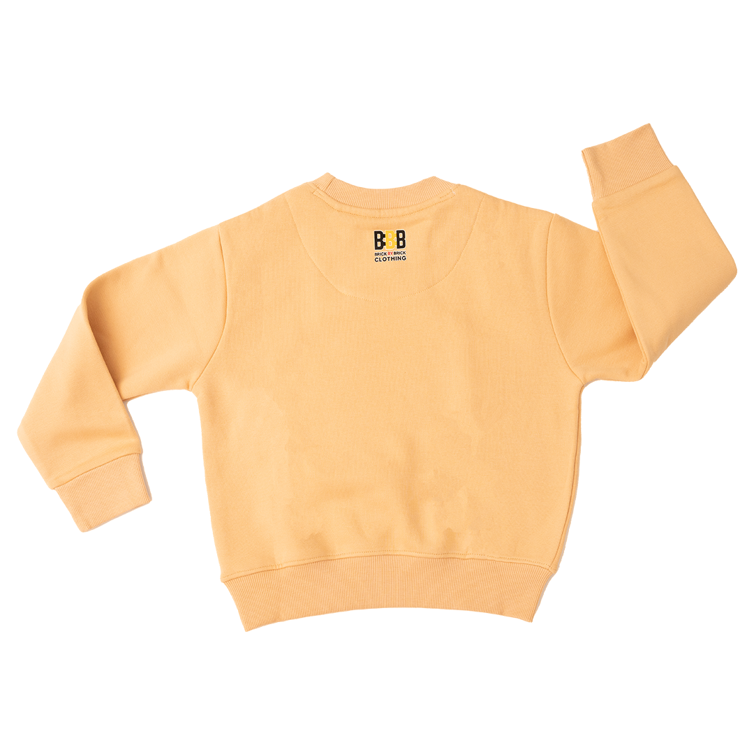 Boys Lion Sweatshirt