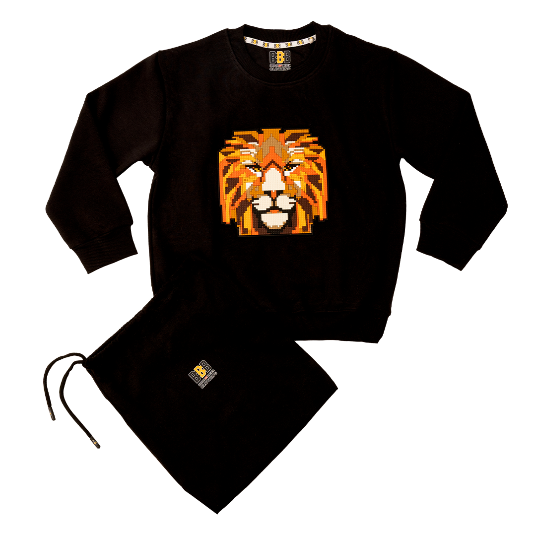 Boys Lion Sweatshirt