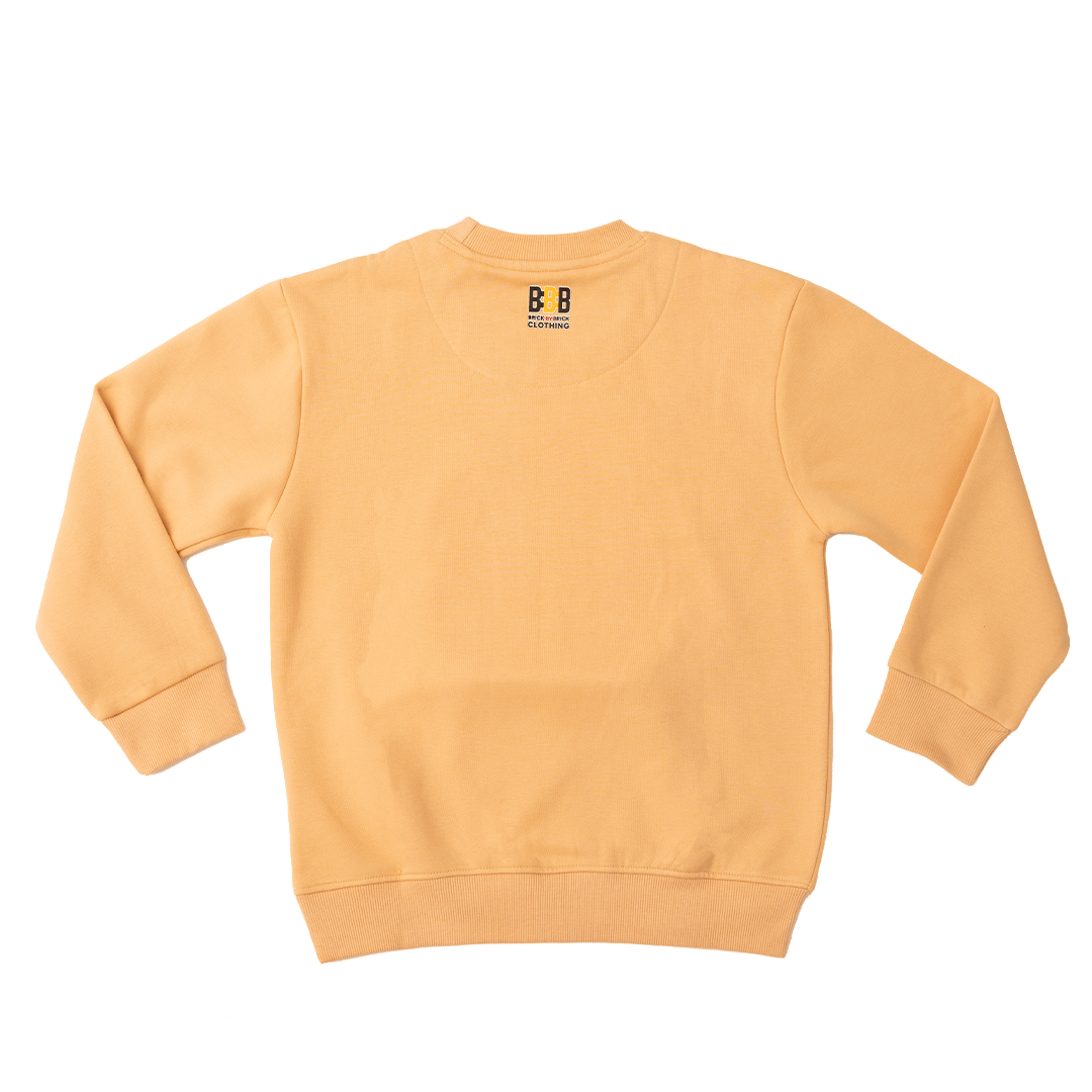 Boys Lion Sweatshirt