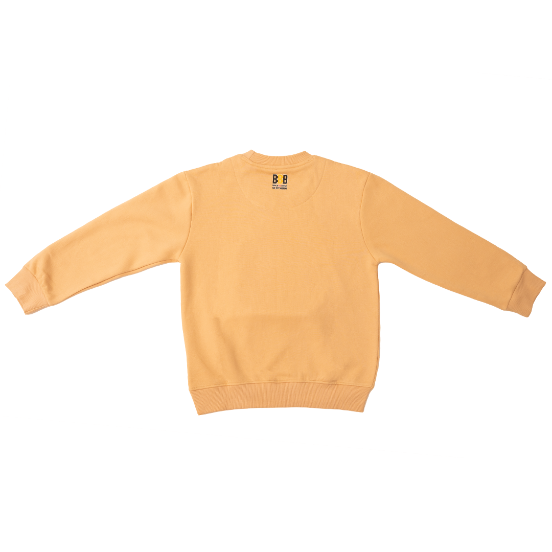 Boys Lion Sweatshirt