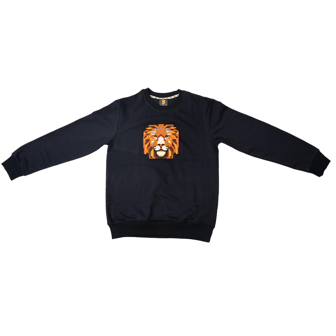 Boys Lion Sweatshirt